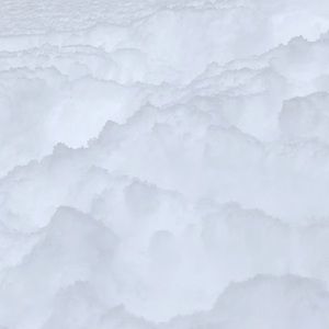 Meet your Posher, Ashlynn